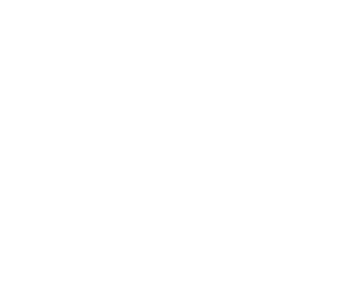 今日の歩き方