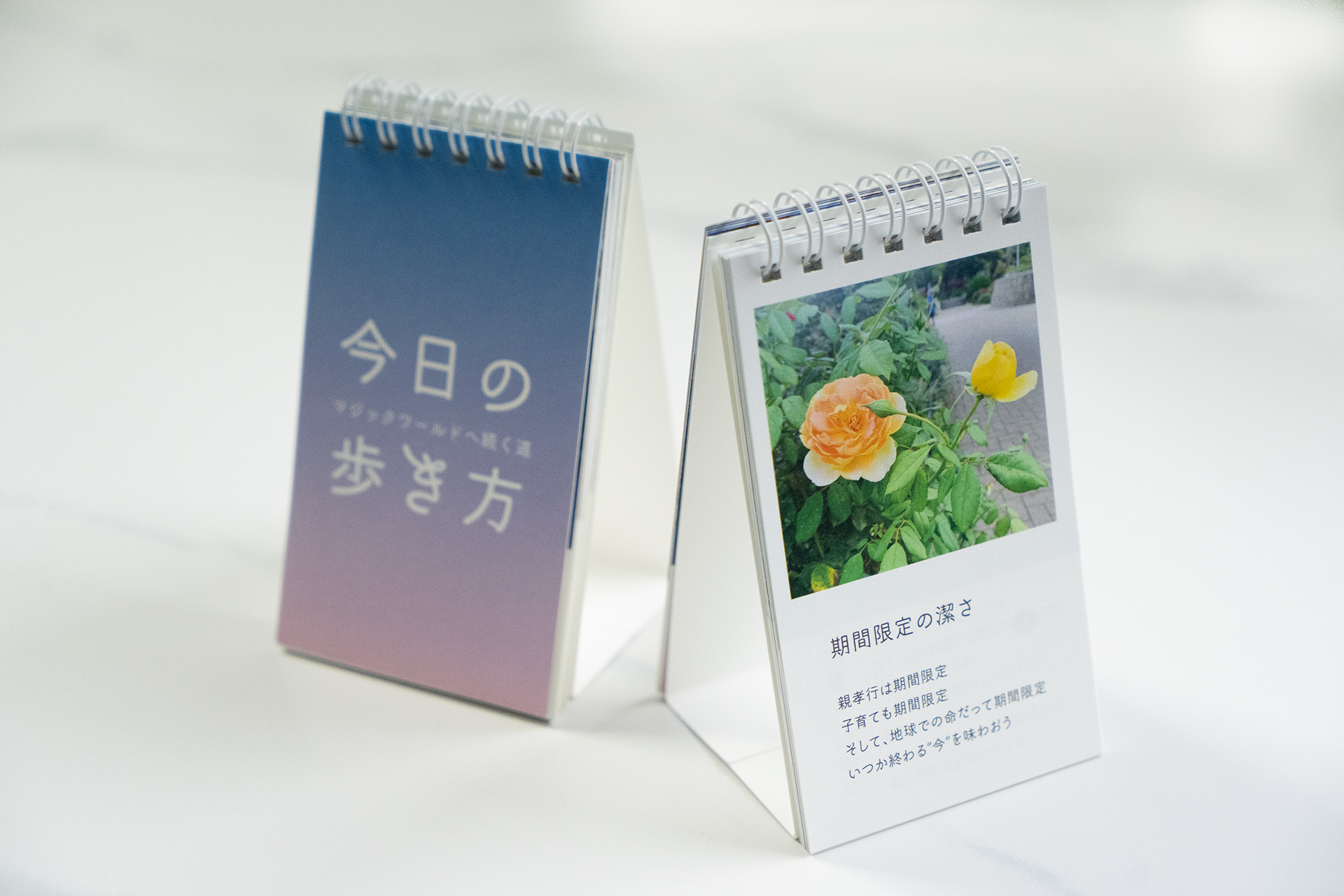 今日の歩き方